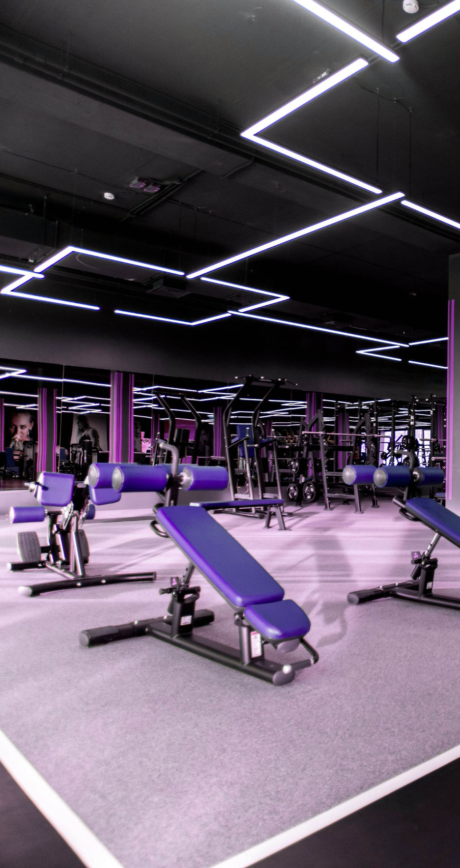 Cancel Planet Fitness Membership Gym Equipment